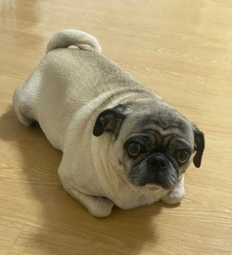 간월도캠핑장 이미지