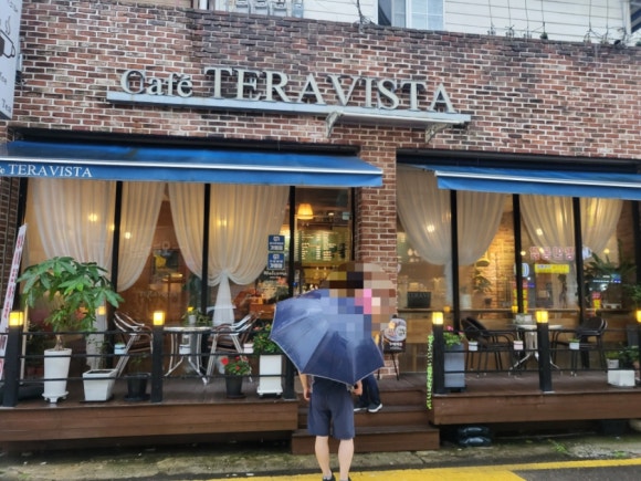 테라비스타 이미지