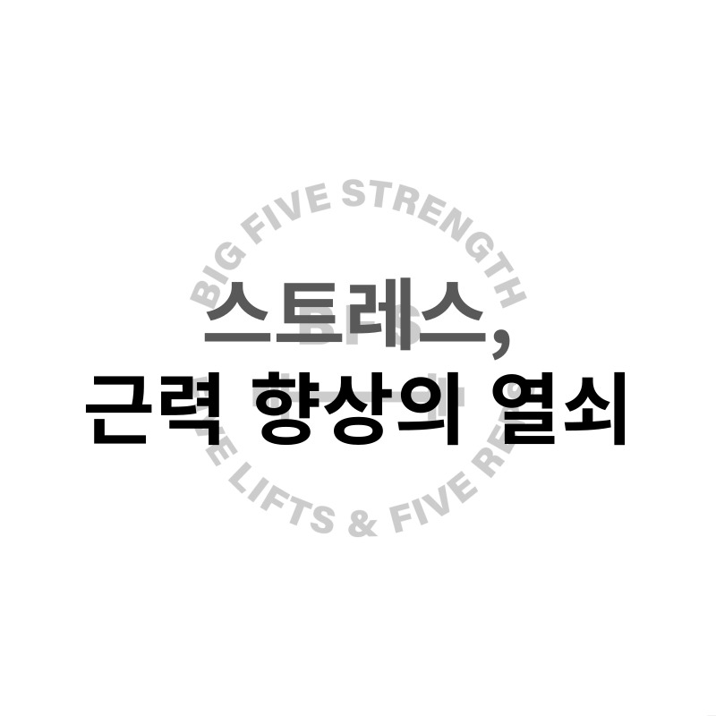 빅파이브스트렝스 이미지
