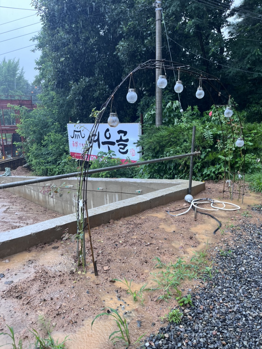 여우골옻닭 이미지