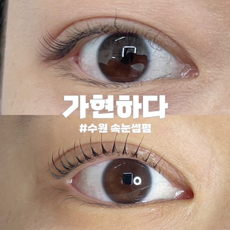 가현하다 이미지
