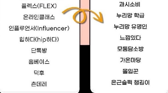 스킨독스 이미지