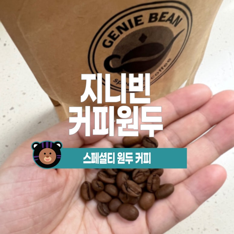 지니빈 이미지