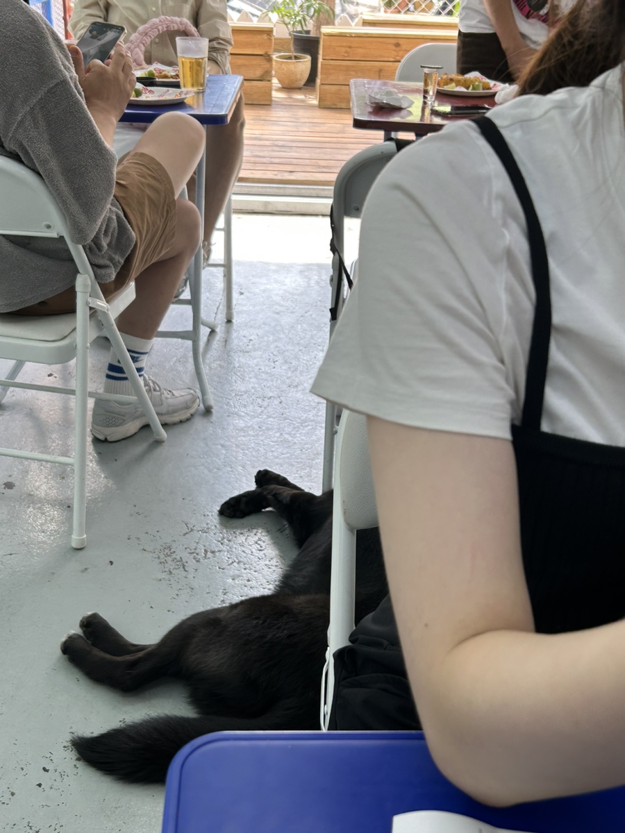 백광세탁 이미지