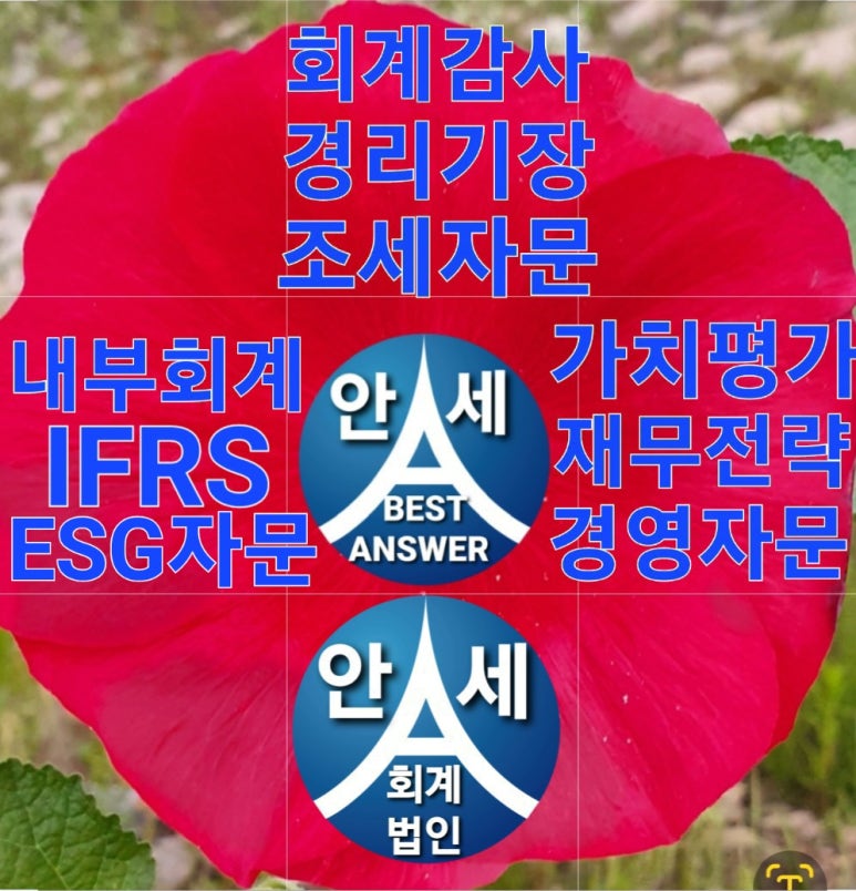 안세컨설팅 이미지
