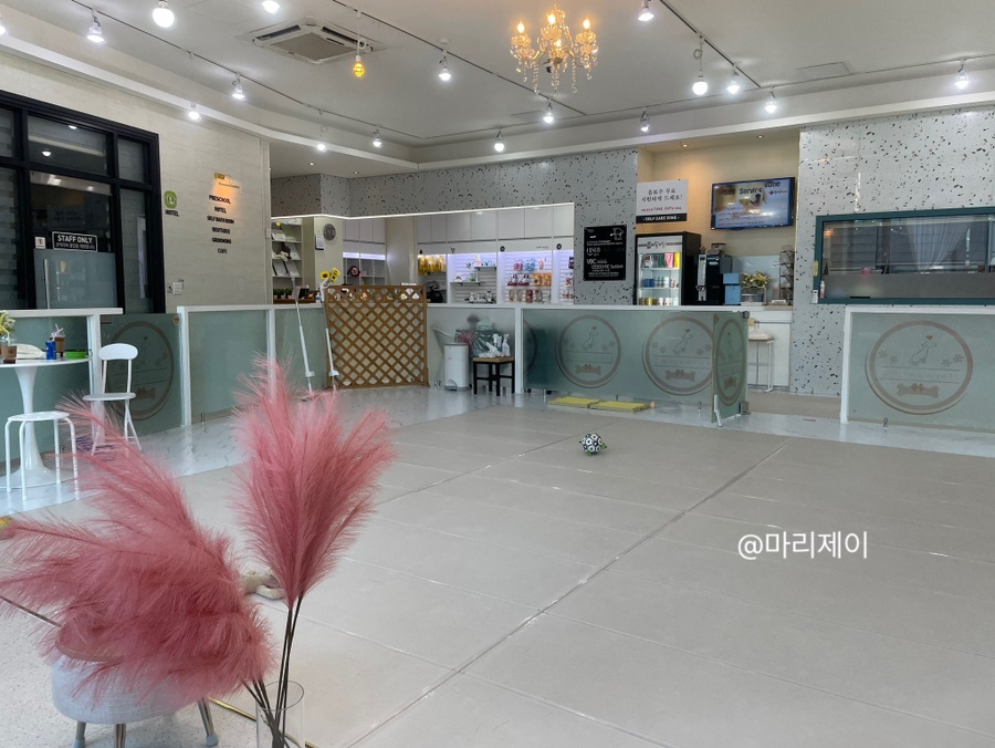 펫돌봄애견카페 이미지
