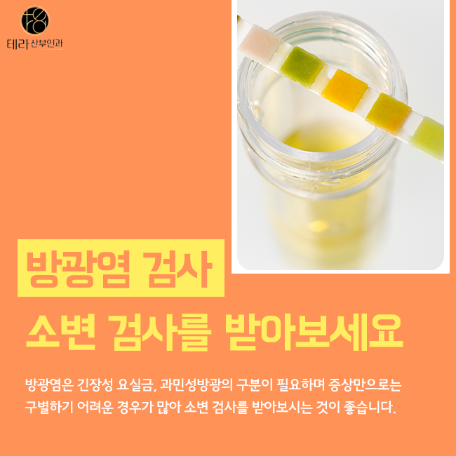 테라화성 이미지