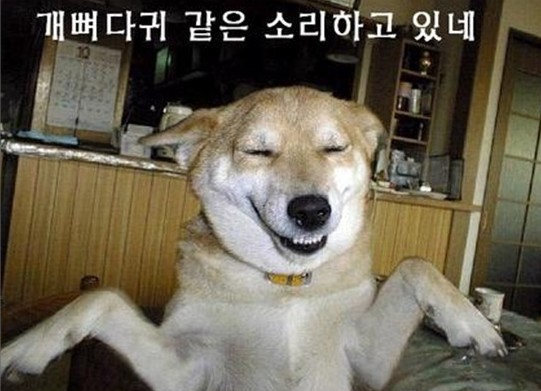 밀키샵 이미지