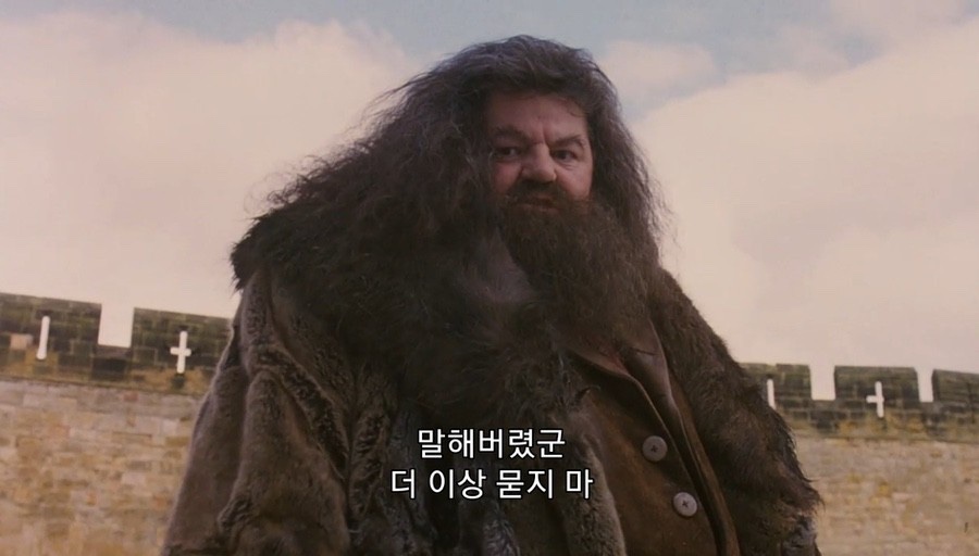 드홀헤어 이미지