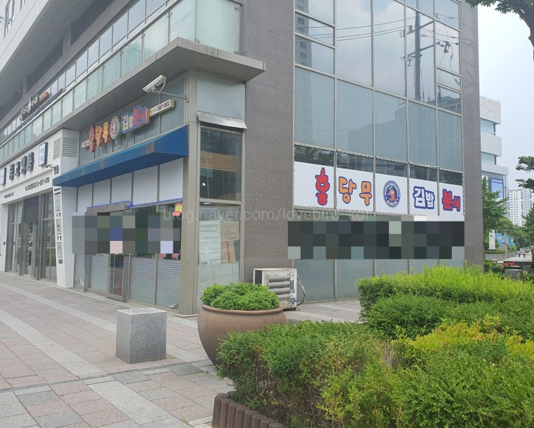 홍당무김밥 이미지