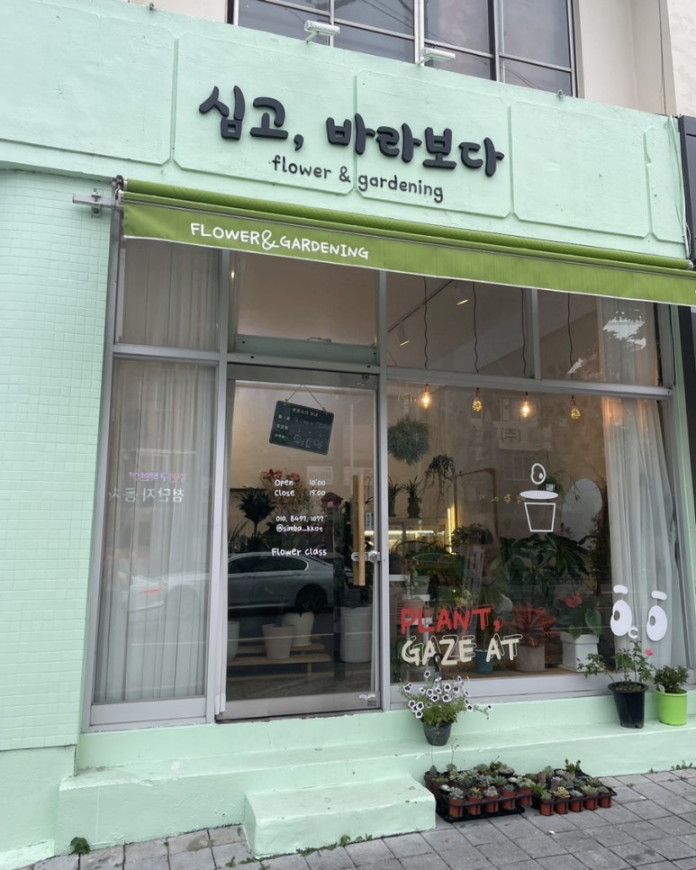 심고;바라보다 이미지