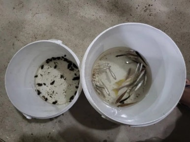 곰마을민박 이미지