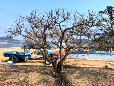 여수독채한옥펜션 이미지