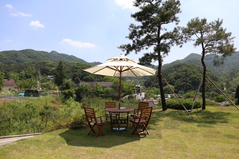 정서리 이미지