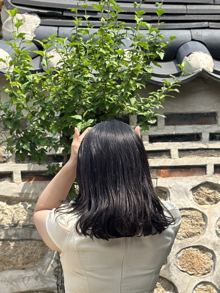 아오브 이미지