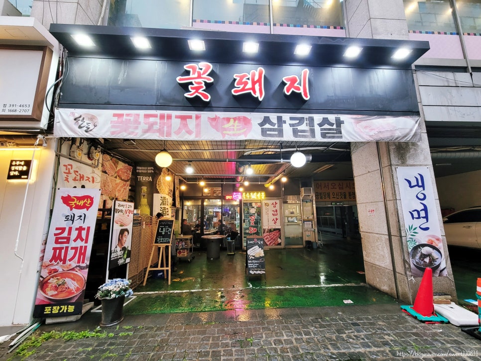 산본꽃돼지 이미지