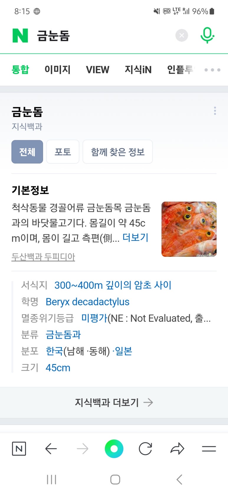 스시코에 이미지