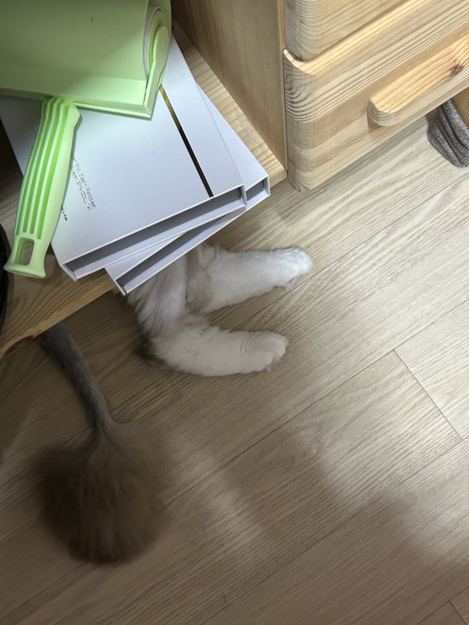 오모모네일 이미지