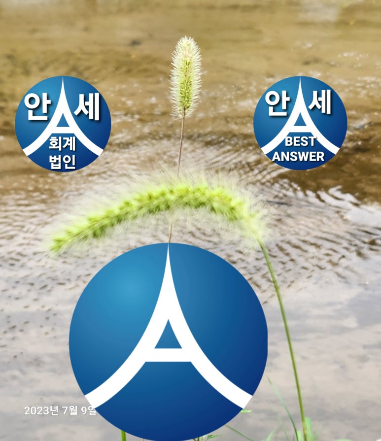 안세컨설팅 이미지