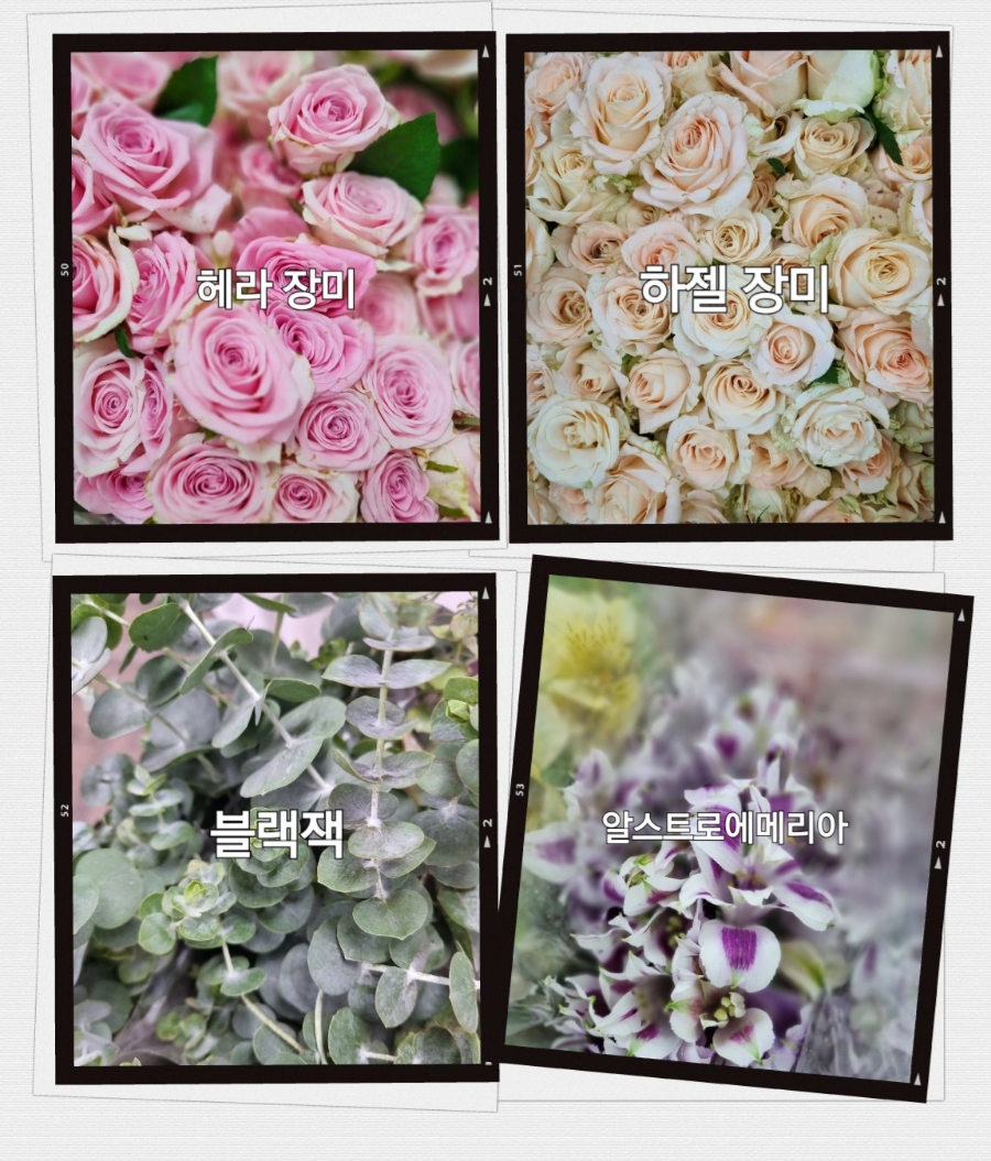 내동인력 이미지