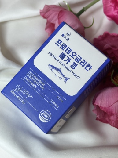 메가웰스 이미지