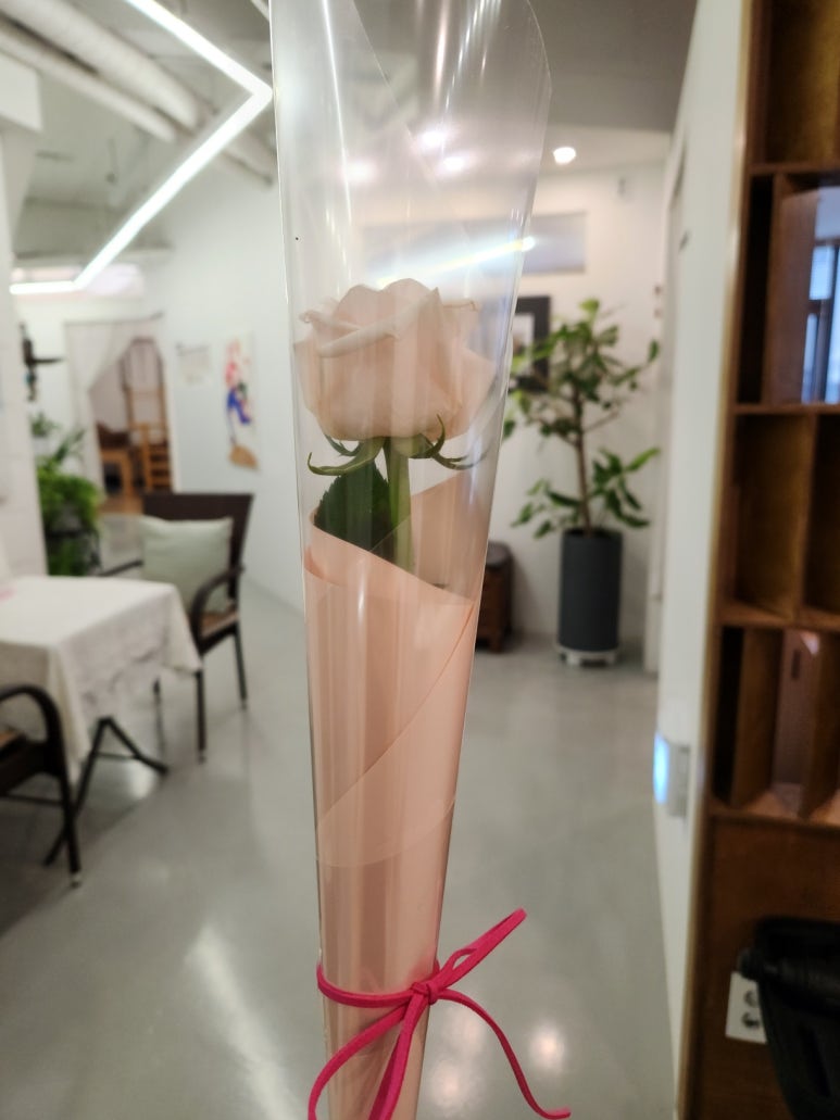 권*선 이미지