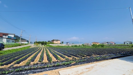 부동산365 이미지