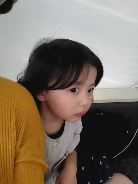 어촌일기 이미지