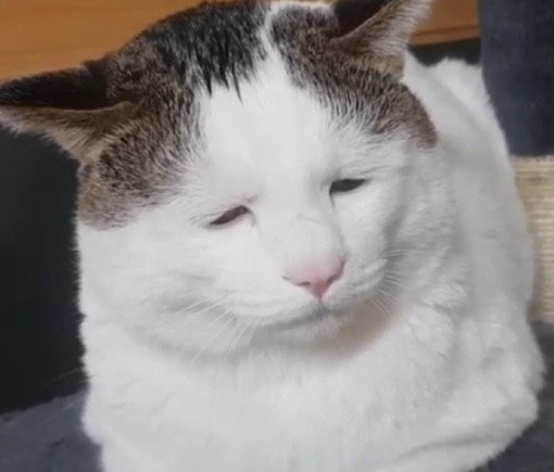 인생2막창 이미지