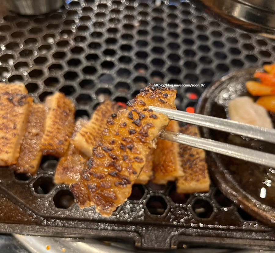 청춘껍데기수원 이미지