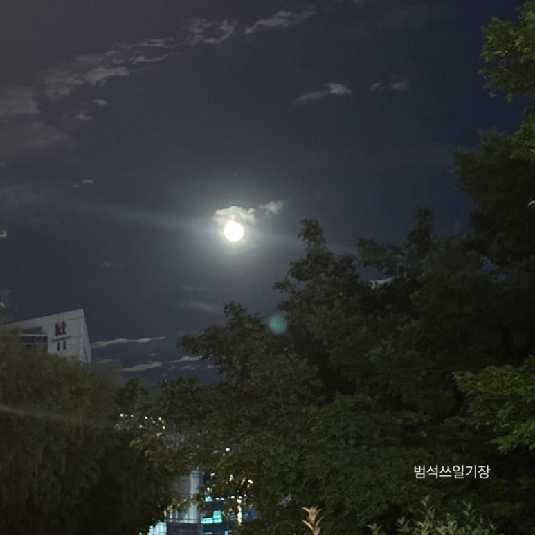 맷도리 이미지