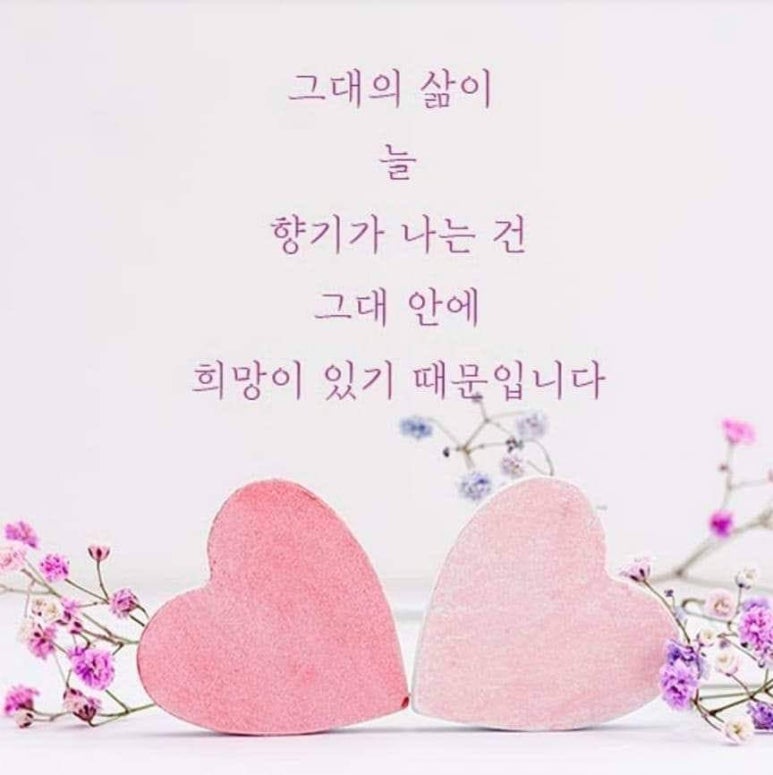 싶은 이미지
