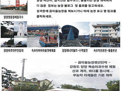곰마을민박 이미지