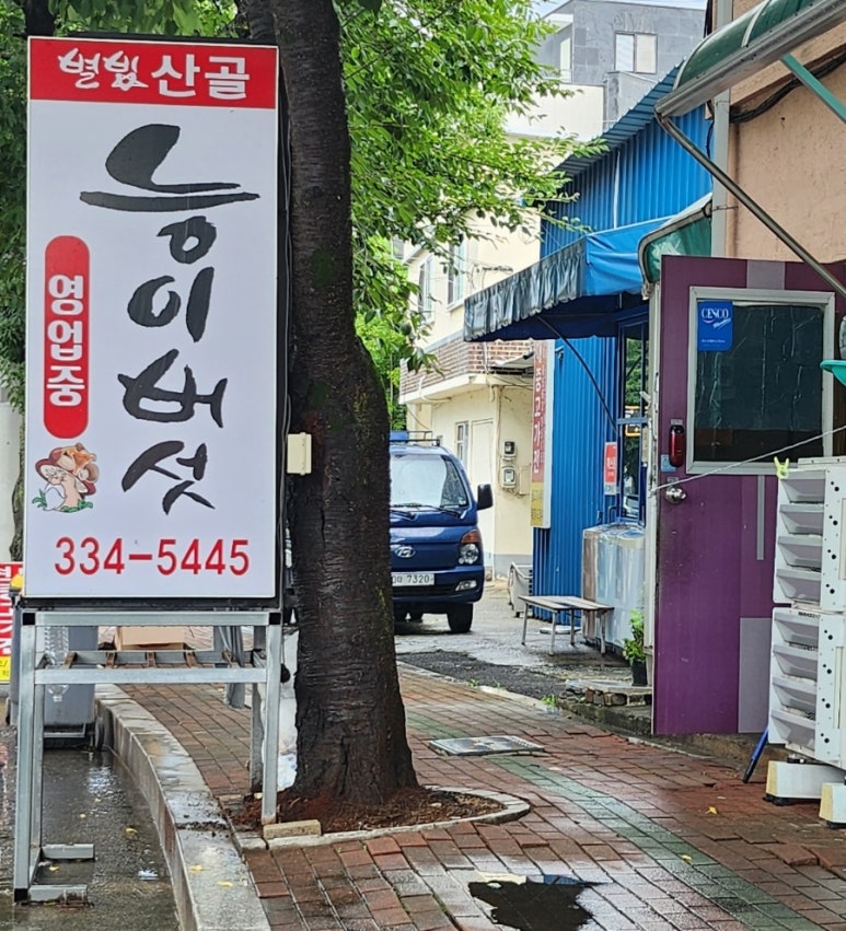 별빛산골능이버섯 이미지