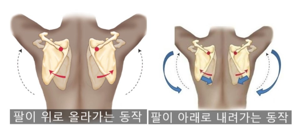 감일다나은의원 이미지
