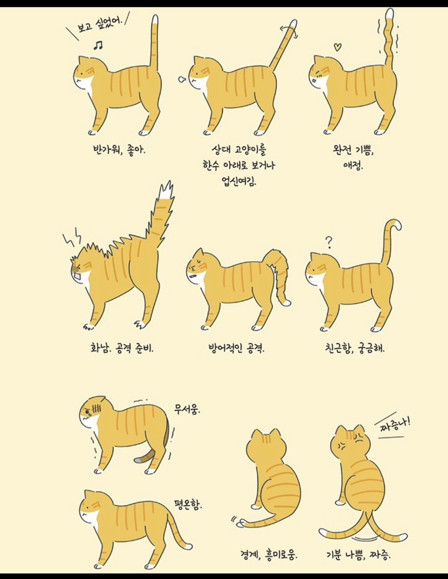 로이헤어 이미지