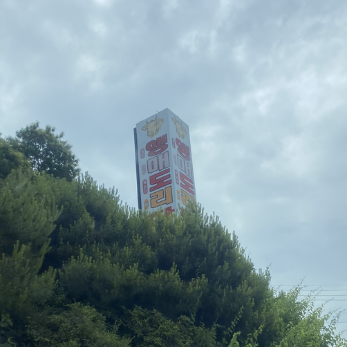 앵매도리한우 이미지