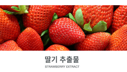 아누비스에스테틱 이미지