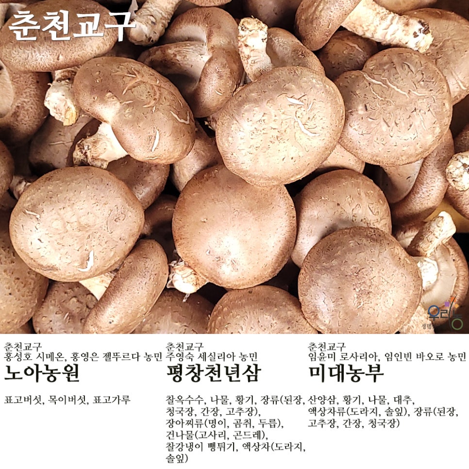평창천년삼 이미지