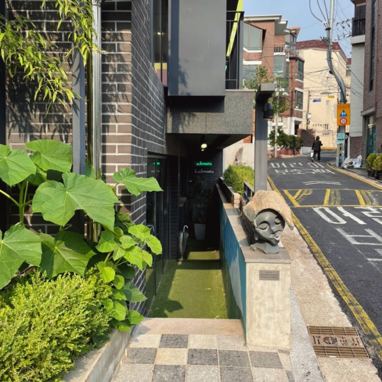 LAFORESTA(라포레스타) 이미지
