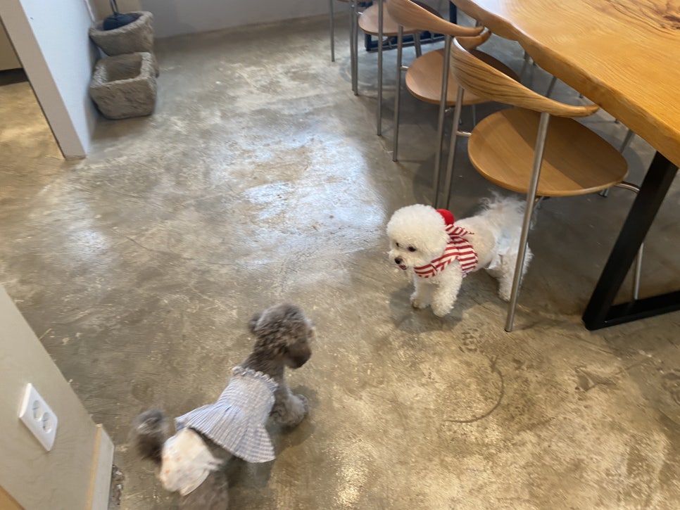 유정원카페 이미지