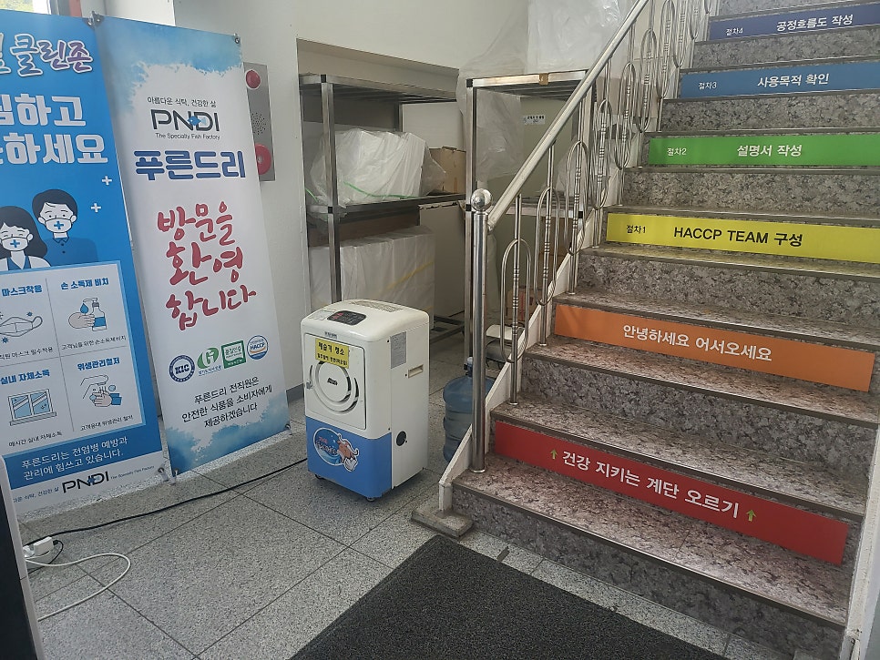 푸른드리 이미지