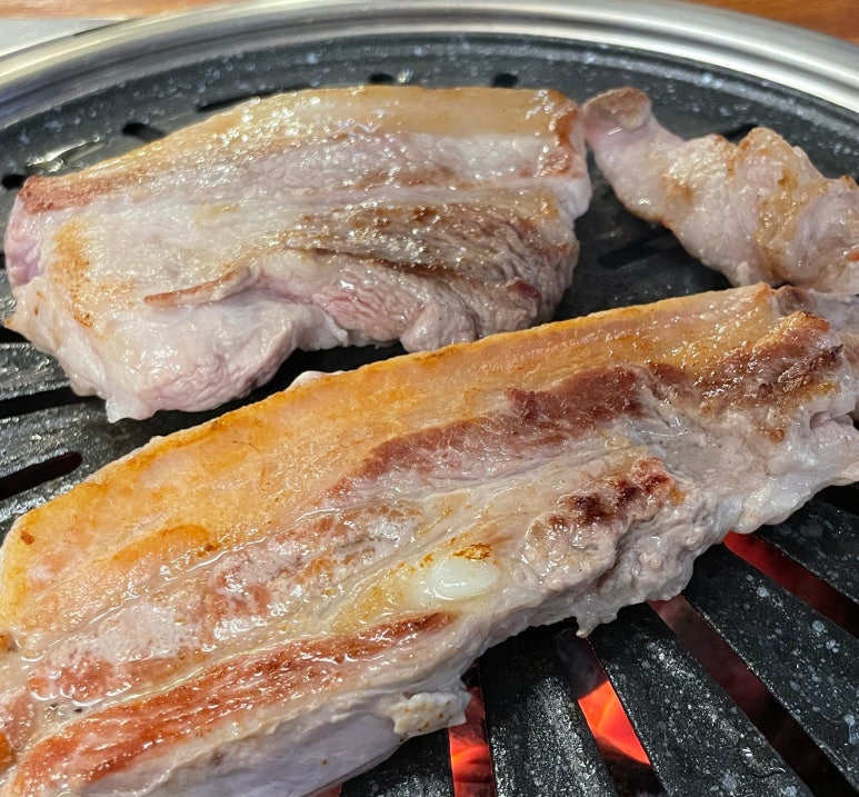 뿔난생돼지 이미지