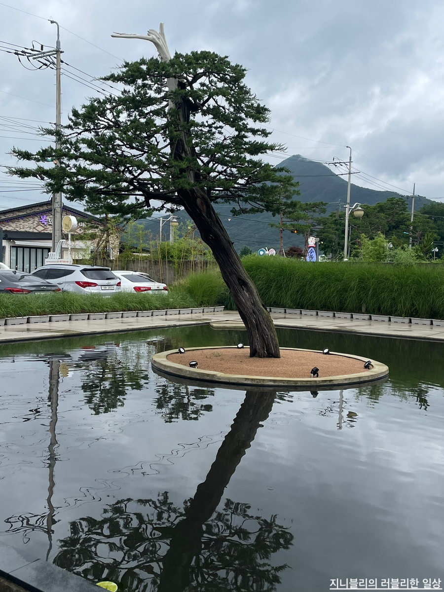 밀 (mll) 이미지