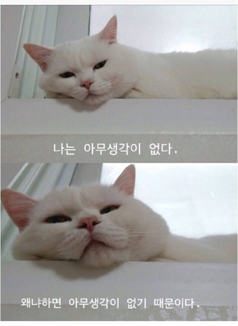 발레메이트학원 이미지