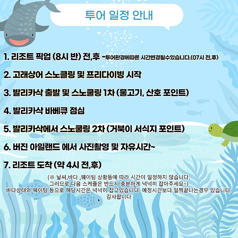보홀로드 이미지
