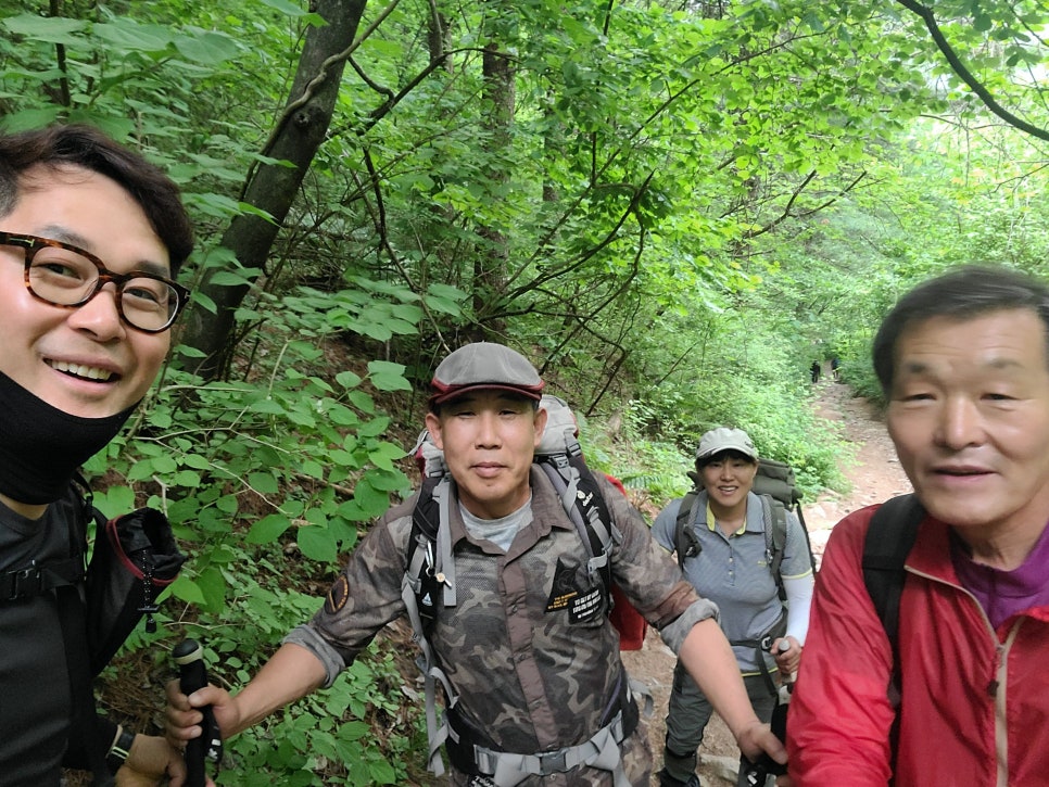 소백산김치 이미지