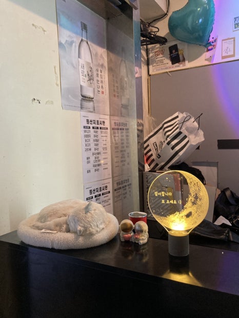 달꼬지(DALKKOJI) 이미지