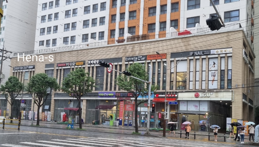 이스텔라헤어포맨 이미지