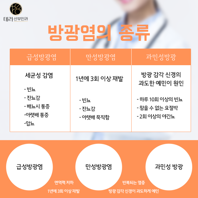 테라화성 이미지